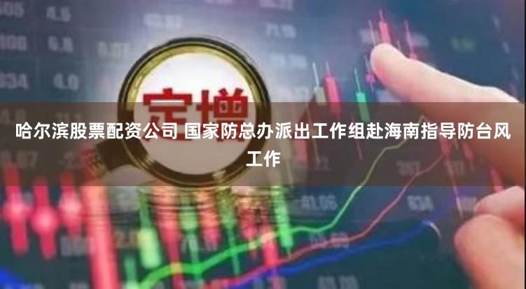 哈尔滨股票配资公司 国家防总办派出工作组赴海南指导防台风工作
