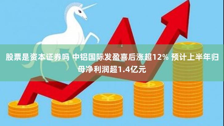 股票是资本证券吗 中铝国际发盈喜后涨超12% 预计上半年归母净利润超1.4亿元