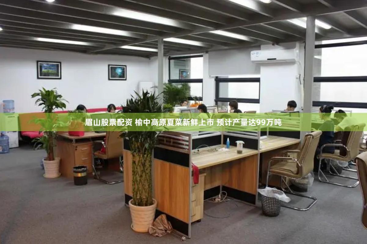 眉山股票配资 榆中高原夏菜新鲜上市 预计产量达99万吨