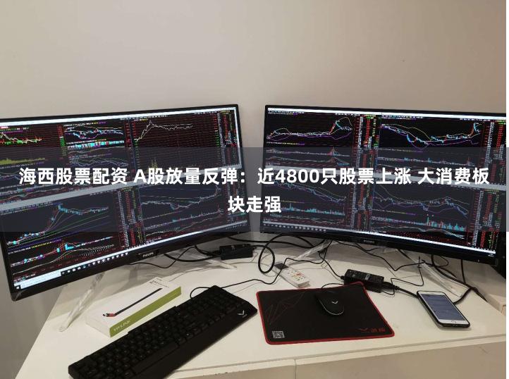 海西股票配资 A股放量反弹：近4800只股票上涨 大消费板块走强