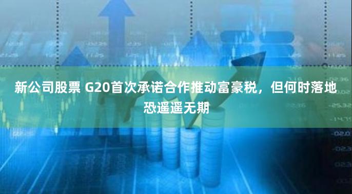 新公司股票 G20首次承诺合作推动富豪税，但何时落地恐遥遥无期